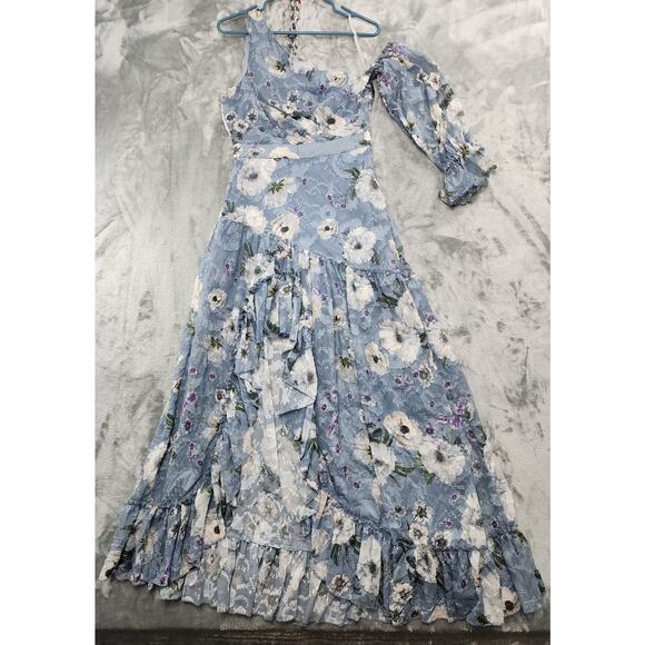 NEW We Are Kindred Tabitha Asymmetric Maxi Dress US 4 One Shoulder Ruffle Hem - Picture 1 of 12